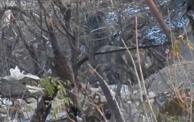 "Поехал" на концерт Кобзона: украинские военные показали видео ликвидации вражеского снайпера