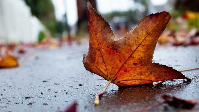 В Україні завтра різко похолодає