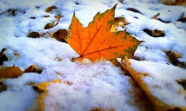 Первый снег в Украине может выпасть уже в октябре, – метеорологи