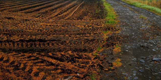 В Винницкой области чиновники украли 17 гектаров земли