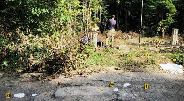 Хотів купити автівку за $3 тисячі: у лісосмузі на Львівщині знайшли труп чоловіка