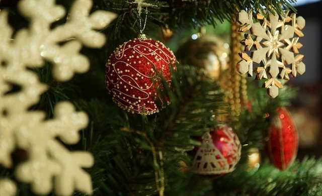 В Киеве установлен новый рекорд по хранению новогодней елки