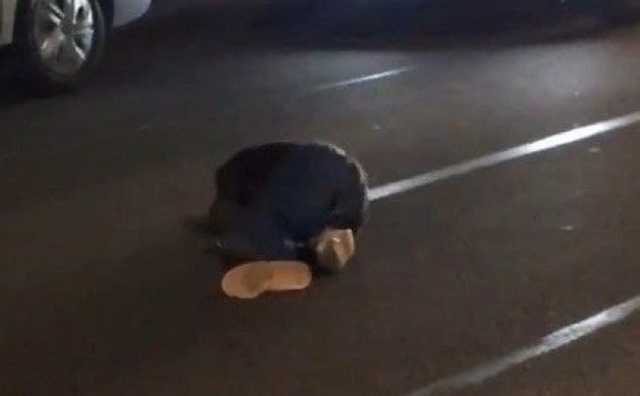 В Мелитополе женщина улеглась посреди оживленной дороги