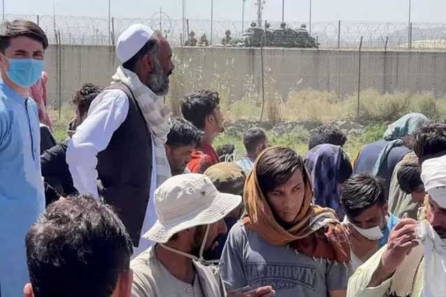 "Слуги" сосчитали, сколько беженцев из Афганистана сможет принять Украина