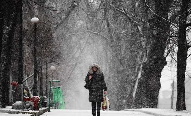 Количество зимних дней будет уменьшаться: Кульбида рассказал об изменении климата в Украине