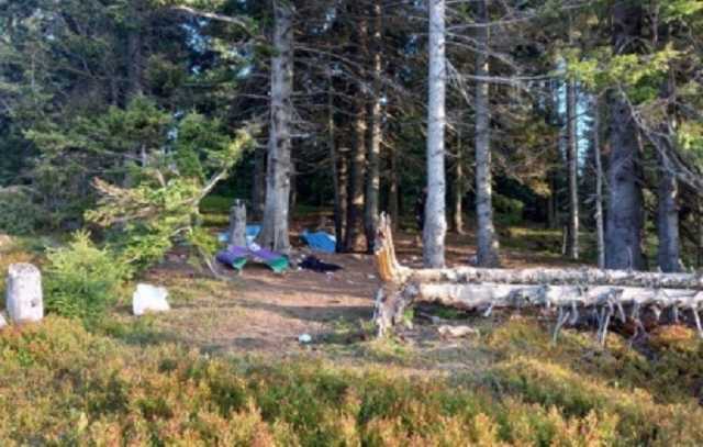 Даже улыбнулась: в больнице пришла в себя женщина, пострадавшая при взрыве в Карпатах