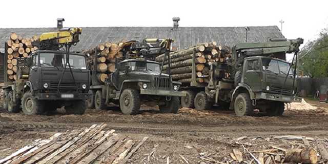 Чиновники Яворовского национального парка занимались незаконными рубками