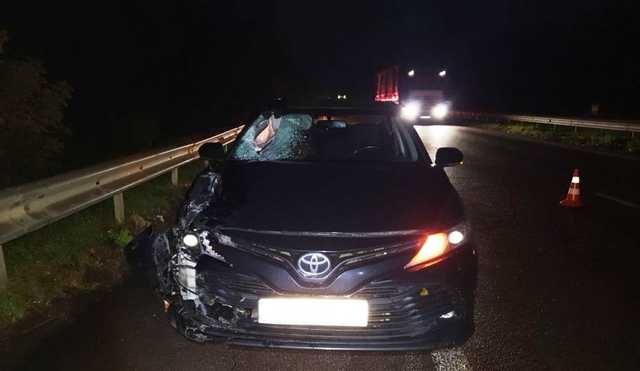 Внезапно выбежал: на трассе Киев-Чоп погиб 29-летний мужчина