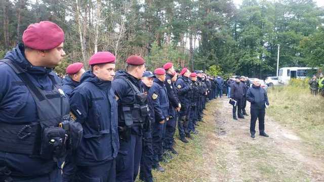 Прочесывают более 400 гектаров: на Киевщине продолжаются поиски причастных к покушению на Шефира