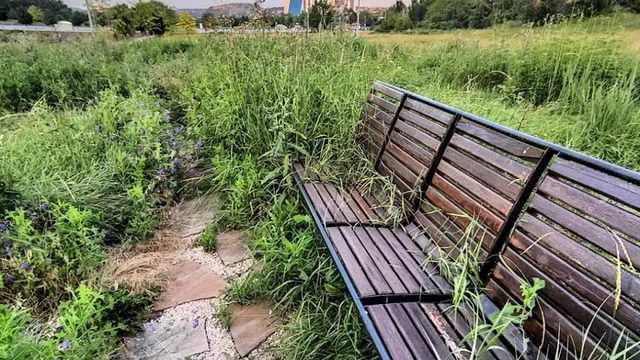 «Спасибо, Россия»: в соцсети показали новые фото «Донбасс Арены»