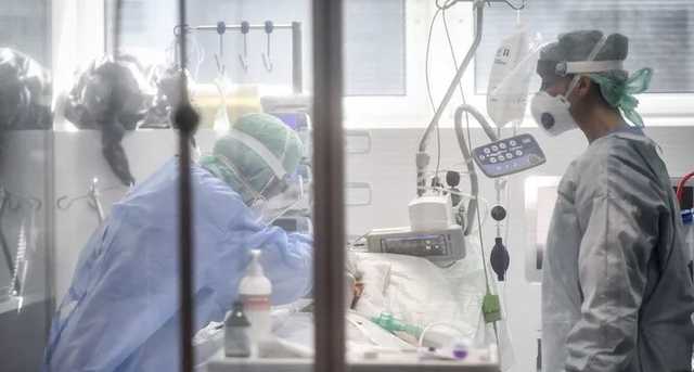 В ВОЗ предлагают лечить COVID-19 с помощью антител