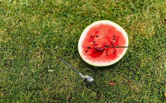 На Херсонщине аграрии массово выбрасывают арбузы