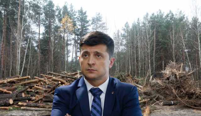 ОСН “Быковня” пожаловался в СНБО на прокуроров и Зеленского