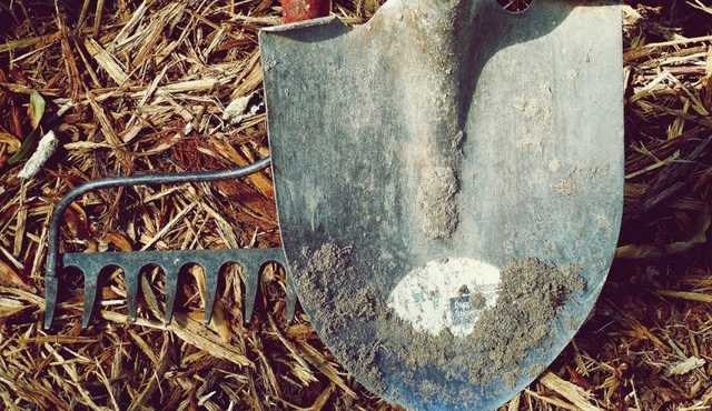 В селе Житомирской области женщина раскроила лопатой череп соседу с вилами