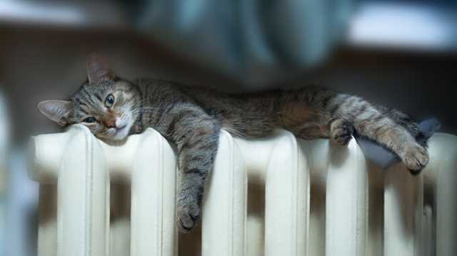 Придется померзнуть: включение батарей в Украине могут задержать