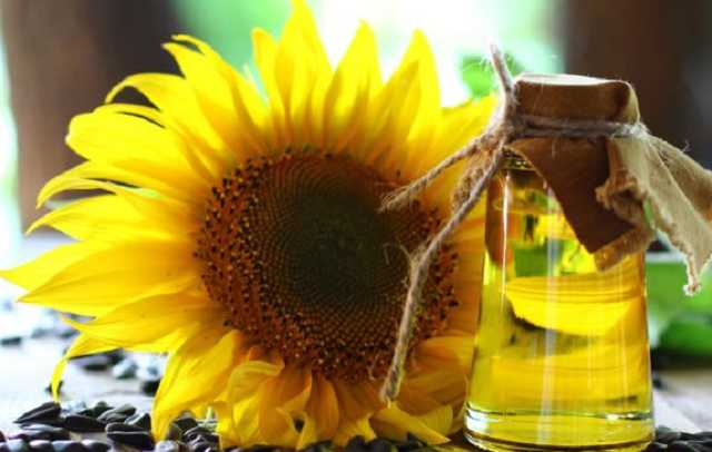 Украина потеряла половину урожая подсолнечника: растительное масло будет стремительно дорожать