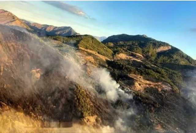 В Турции произошел масштабный лесной пожар, огонь удалось локализировать