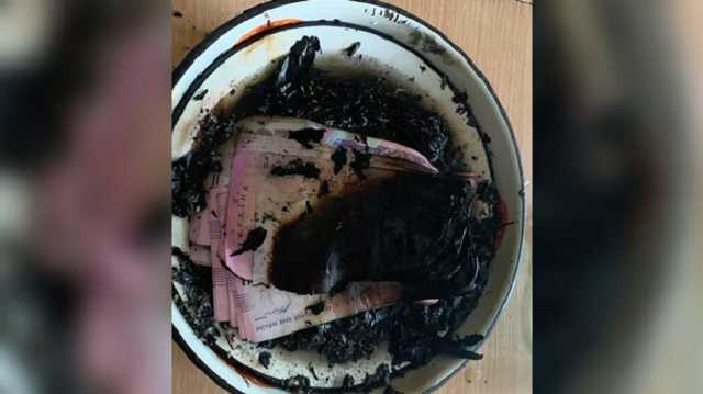 В Днепре женщина сожгла в квартире 50 тыс грн "по приказу голоса"