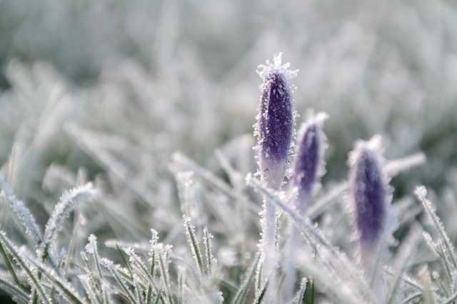 В Україну йдуть перші морози: синоптики назвали дату