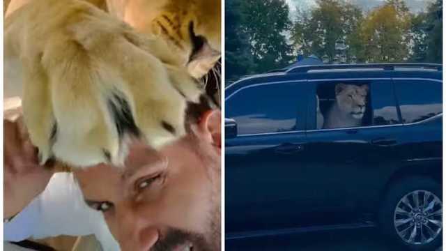 В Харькове депутат от ОПЗЖ возит в авто африканского льва