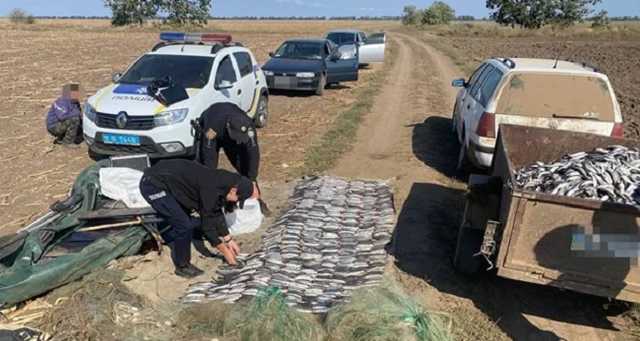 В Одесской области задержали браконьеров с крупным уловом кефали