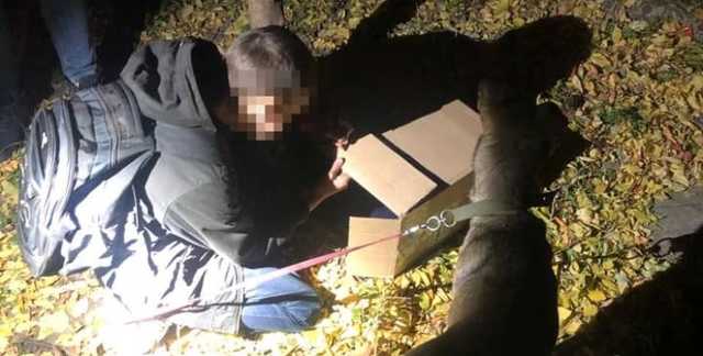 В Ровно мальчик сбежал из дому из-за мамы, не разрешившей приютить бездомную собаку