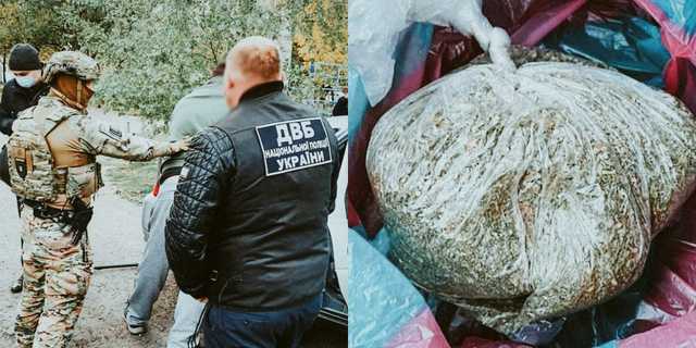 Вирощував на дачі: харківського експравоохоронця викрили на збуті марихуани