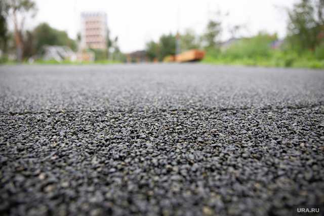 Трасса в Запорожской области услана трупами животных: что произошло