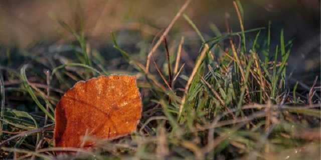В Украину идет арктический циклон: температура резко снизится