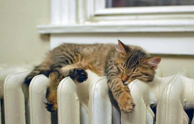 В Украине отопление подключили в 45% жилых домов - Минрегион