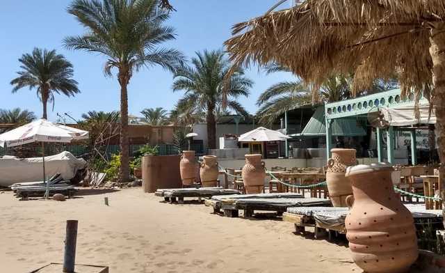 Пьяный российский турист захватил автобус и устроил погром в Шарм-эль-Шейхе