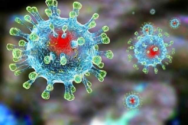    14 .   COVID-19  ,  298 