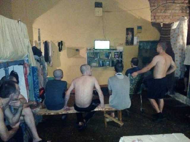 COVID-19 и тюрьма: занимательная статистика