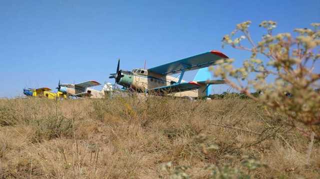 На Харьковщине с самолетов разбрасывают вакцину от бешенства