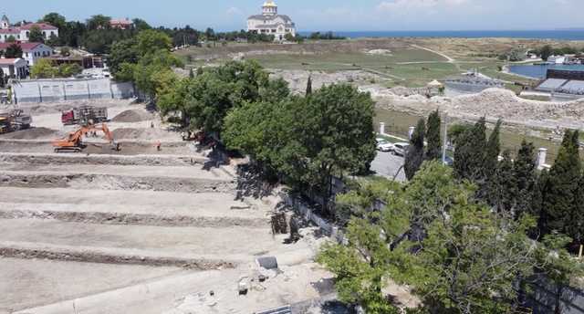 У Херсонеса вырубили краснокнижную сосну