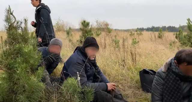 Мигранты рассказали, как белорусские пограничники их избивали и «отправляли» в Польшу