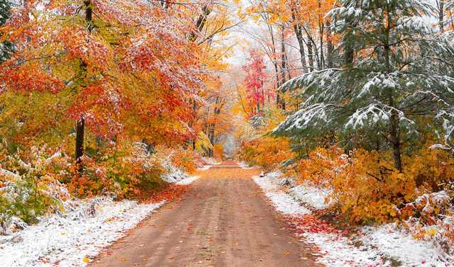 В Украину придет первый снег: прогноз погоды на неделю