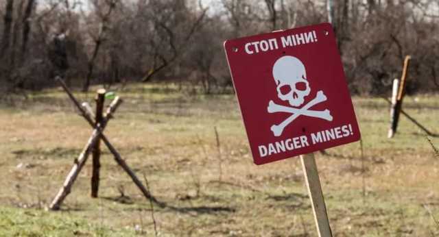 Кабмин одобрил создание нового госоргана, который займется разминированием Украины