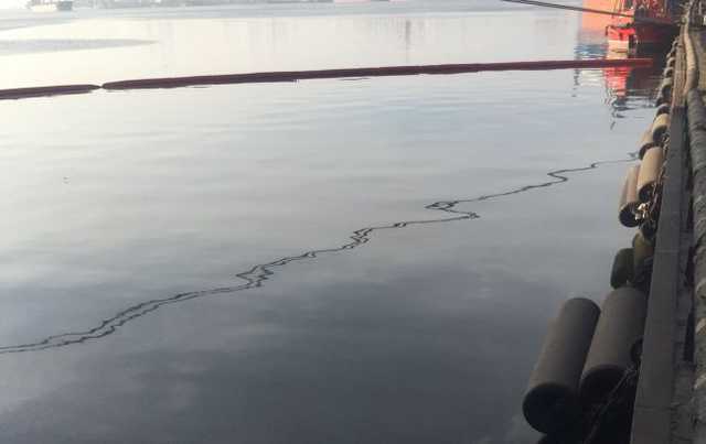 В Днепро-Бугском лимане произошел разлив подсолнечного масла