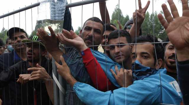 Литва предоставила убежище семи нелегально попавшим в страну мигрантам