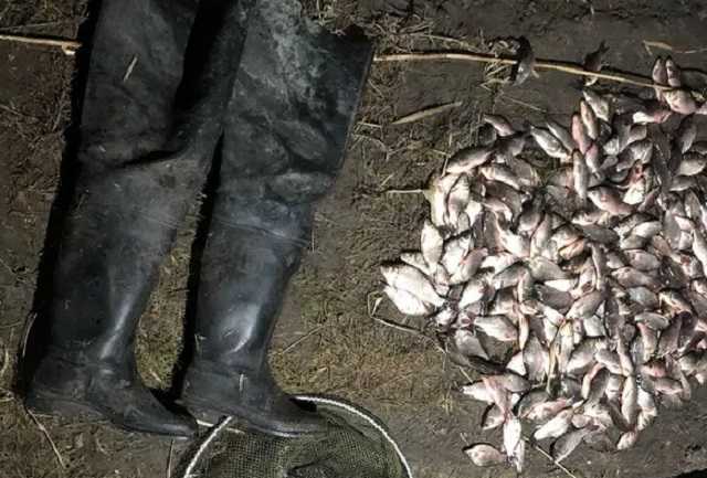 Рыбак незаконно наловил карасей на 400 тыс. грн