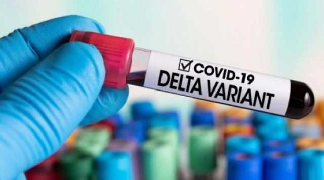 В Украине обнаружили 11 вариантов штамма «Дельта»: данные по областям