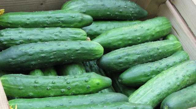 Украина впервые в истории начала импорт огурцов из России