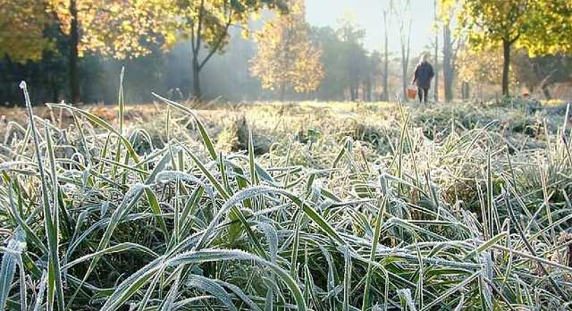 Морозы до -10 градусов: синоптик предупредил об ощутимом похолодании