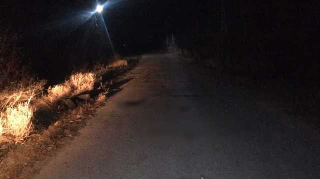 Нашли посреди дороги: в Одессе грузовик насмерть сбил женщину