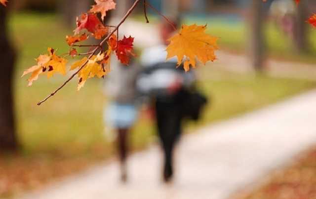 В Україну йде похолодання, але не остаточне, – Діденко