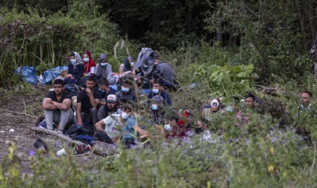 В Германию из Беларуси с начала года нелегально въехали более 10 тысяч человек