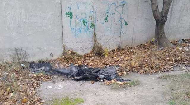 Житель Черноморска сжег тело умершей знакомой, с которым жил две недели