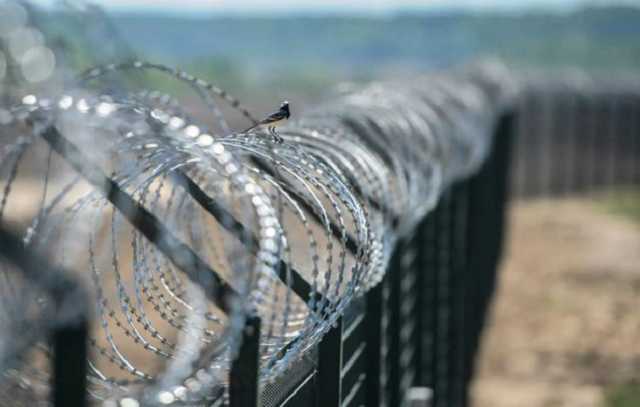 Эстония установила проволочное заграждение на границе с Россией