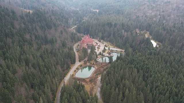 Из УГО уволили работников, не сбивших дрон журналистов над Гутой